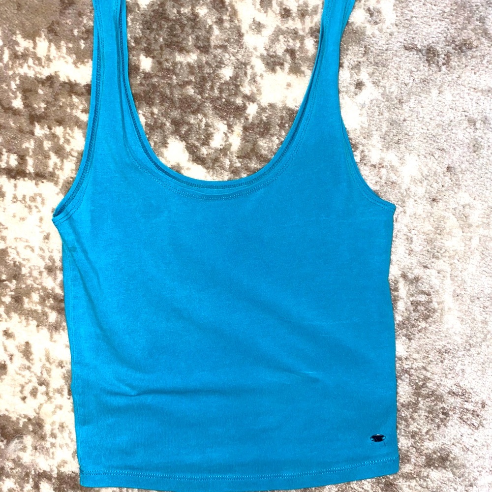 American Eagle Crop Tank